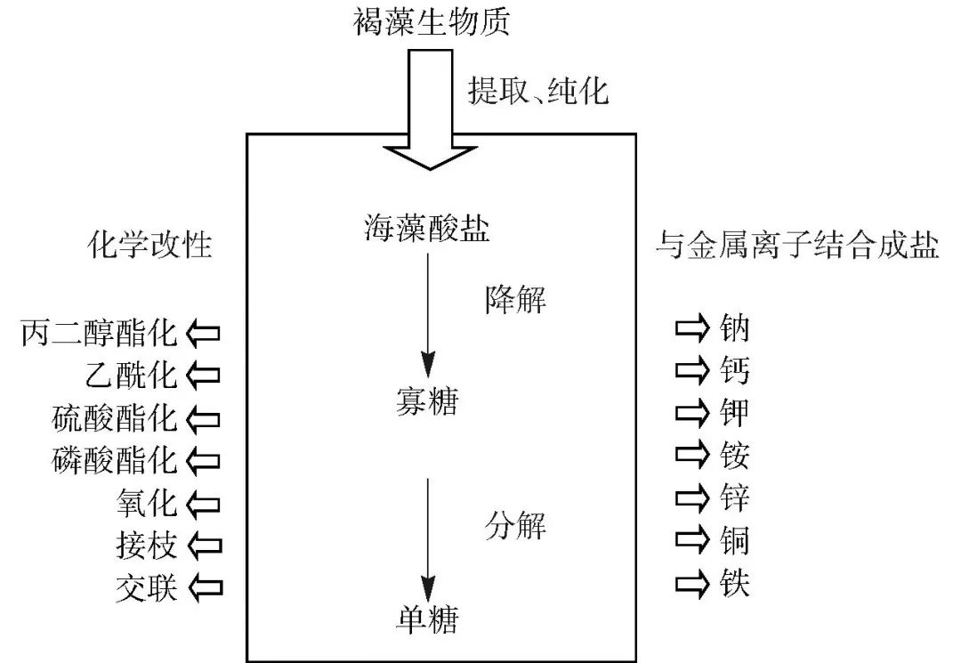 微信图片_20221027092443.jpg 微信图片_20221027092443.jpg